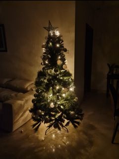 (Category: ) located in . Submitted by cidd04 (Listing ID 1251217107, Image 1). Description: .