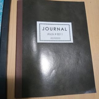 Columnar Journal Ledger book and sheets