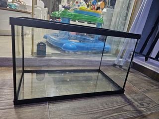 (Category: ) located in . Submitted by elseyj (Listing ID 1251214846, Image 1). Description: .