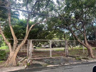 For Sale Vacant Lot, South Forbes Park