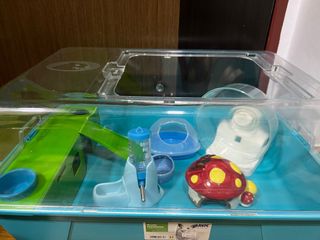 (Category: ) located in . Submitted by may9077 (Listing ID 1251242336, Image 1). Description: .