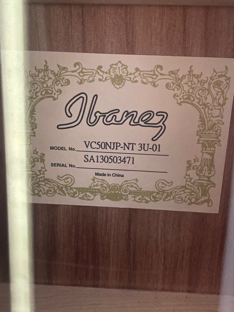 Ibanez sgt110 online