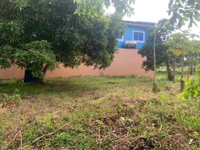 (Category: ) located in . Submitted by lsprop (Listing ID 1251162797, Image 1). Description: .