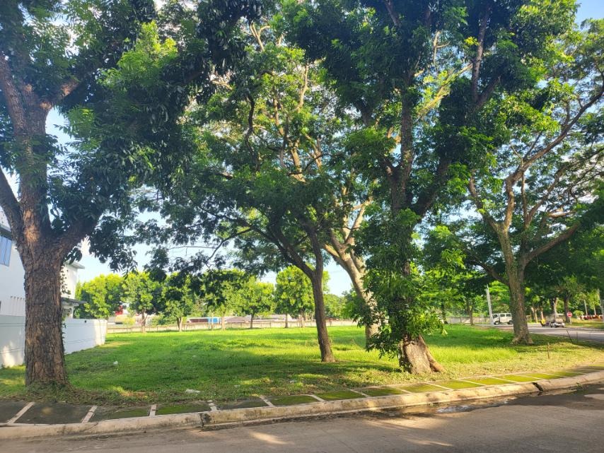 Lot For Sale in Manila Southwoods Phase 3 Near Southwoods Exit 12.5 KM