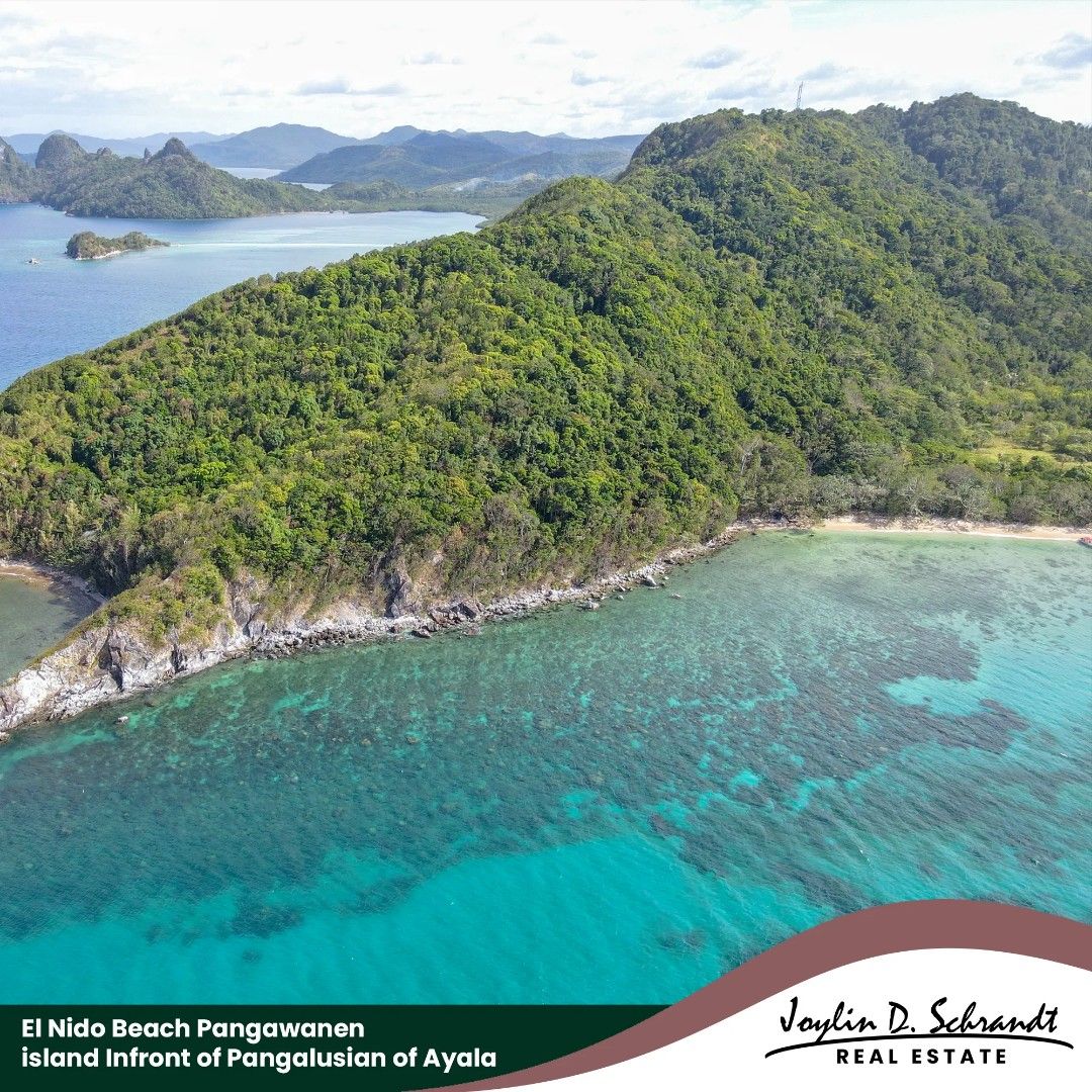 Pangawanen El Nido Palawan (Category: Lot) located in Quezon City. Submitted by Joylin.Dinglasa (Listing ID 1104230796, Image 1). Description: El Nido Beach Front adjacent to Pangalusian Private Island of Ayala Land Description: Champion in Crystal clear water Selling Price : 2,500 PER SQM with special terms of payment can be applied.