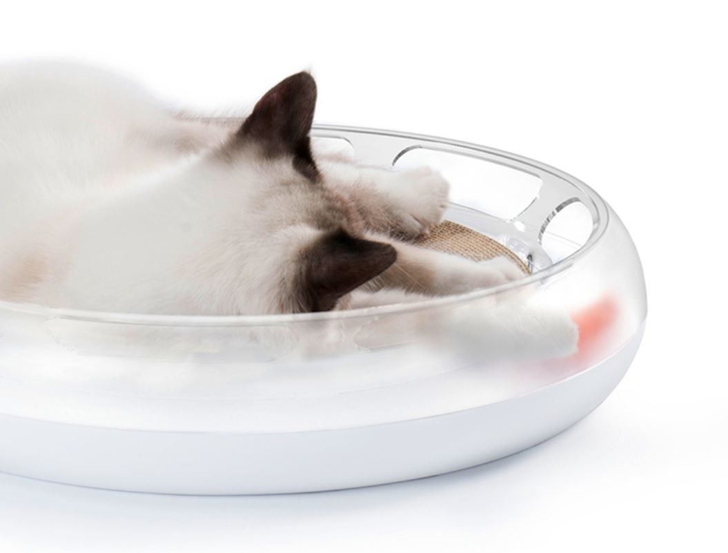 Fun 4 in 1 cat scratcher best sale