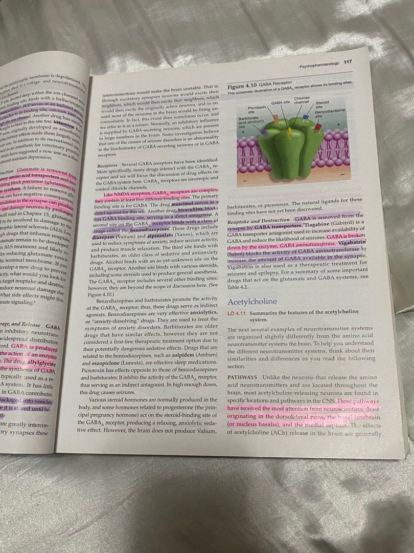 Physiology Of Behavior 12th Edition By Neil Carlson And Melissa Birkett Physiology Of Behavior 12th Edition By Neil Carlson And Melissa Birkett