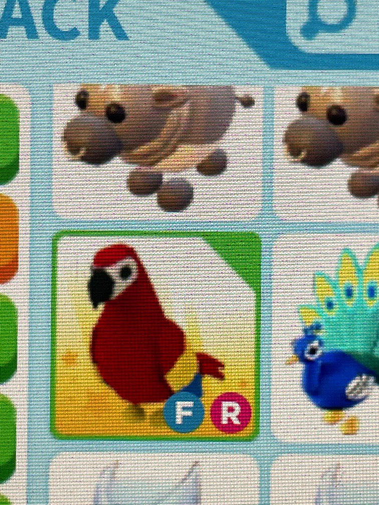 Roblox adopt me parrot, 興趣及遊戲, 玩具 & 遊戲類 - Carousell