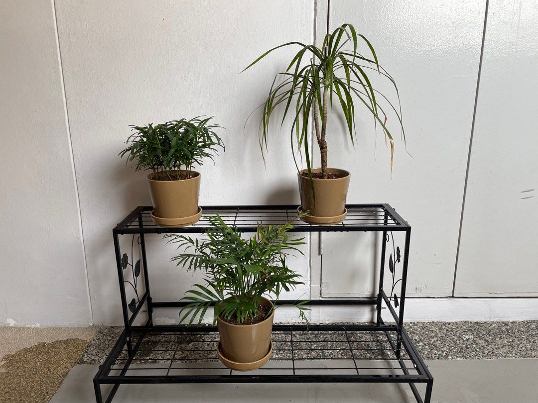 Rv Plant Racks Stainless Steel Rack 2 layer outdoor plant rack, Furniture & Home ...