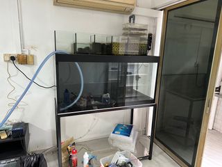 (Category: ) located in . Submitted by miniclosetsale (Listing ID 1251376947, Image 1). Description: .