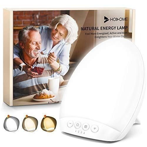Natural energy lamp hosome discount