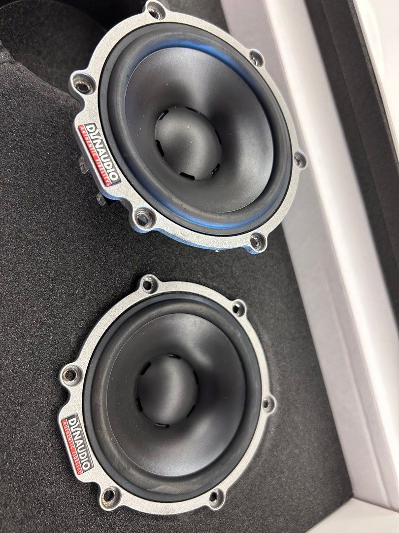 Dynaudio Esotar2 E430 midrange 4