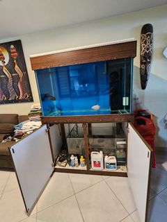 (Category: ) located in . Submitted by delphino (Listing ID 1251353708, Image 1). Description: .