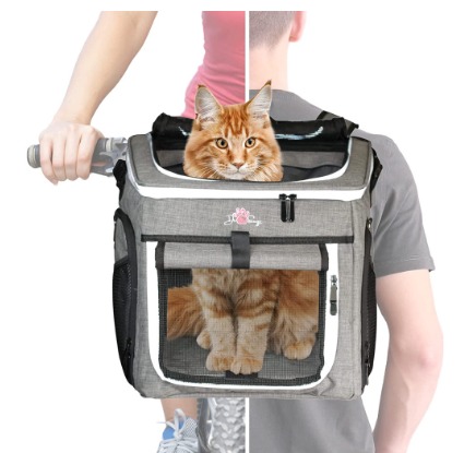 Front bike basket for 2025 cat