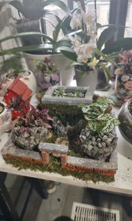 Free mini garden