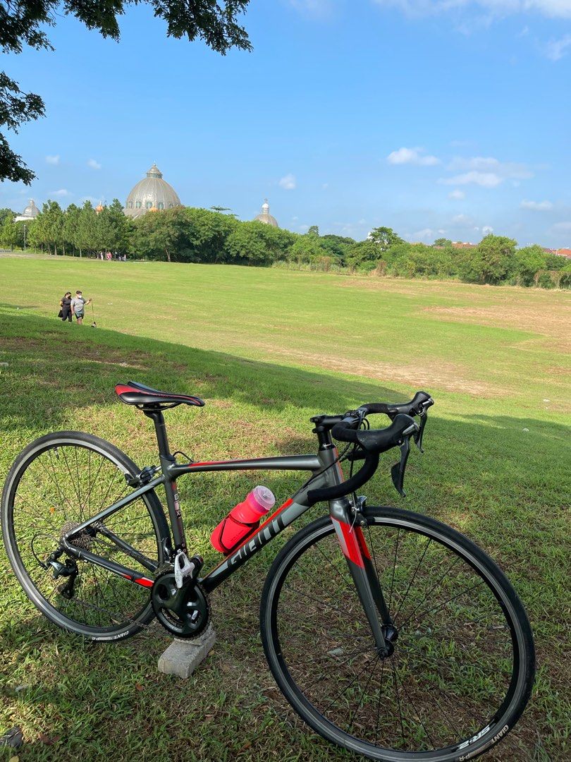 Giant contend best sale sl2 2019