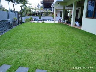 (Category: ) located in . Submitted by TIGER_LANDSCAPE (Listing ID 1251332319, Image 1). Description: .