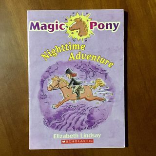 SALE - Nighttime Adventure by Elizabeth Lindsay (Magic Pony)