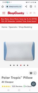 Sleep Country Polar Tropic Pillow