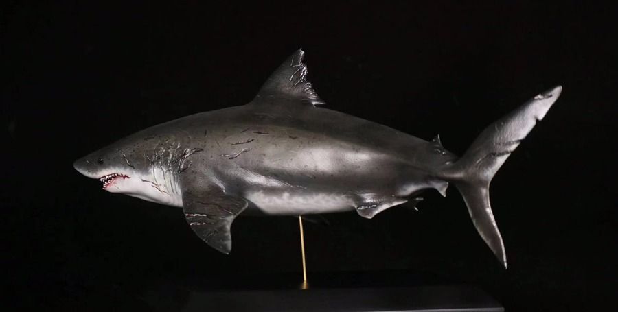 The Meg | Xi Fu Studio | 【FREE Shipping - PO】GK Figurine | GK Figure ...