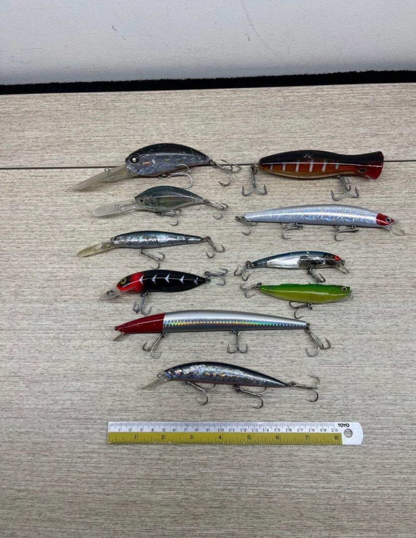 10 Saltwater Lures w/ Hooks. Some Branded. $2 each!!, Sports Equipment,  Fishing on Carousell