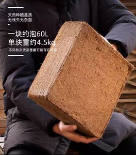 （分類：）位於 。 由 916732 提交（商品編號 1251633198，圖片 1）。簡介： 。
