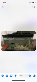 (Category: ) located in . Submitted by corderoedna09 (Listing ID 1251480606, Image 1). Description: .