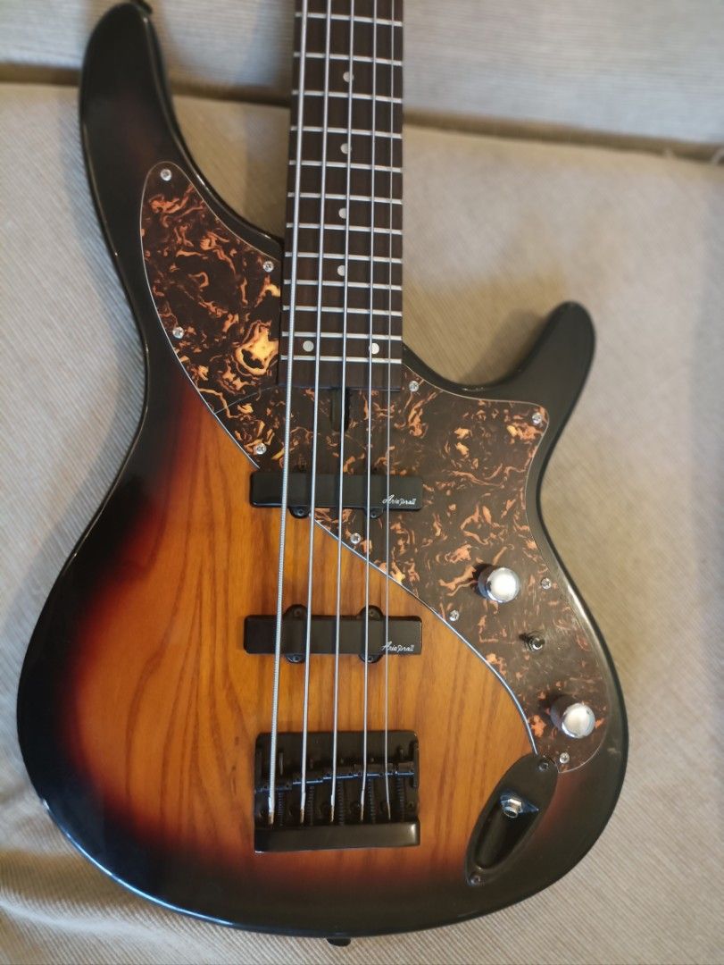 Aria Pro II Avante Steve Bailey 5 String Bass 90s Discontinued 90s