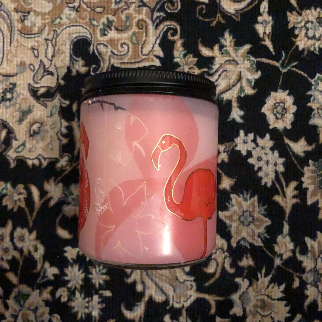 BBW Iced Dragonfruit Tea Single Wick Candle, Furniture & Home Living