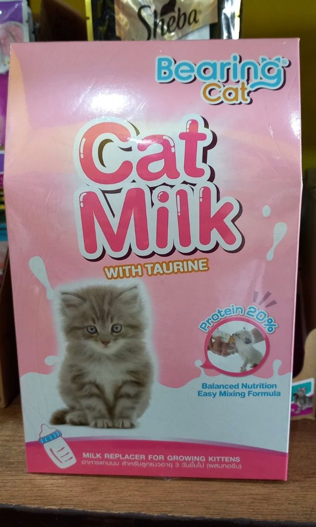 Bearing cat milk cheap