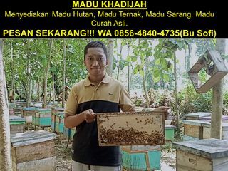 Call 0856-4840-4735  Supplier Madu Sarang Lebah Murni 250 500 gram COD Karawang Barat Semarang Kudus Pati Palangkaraya