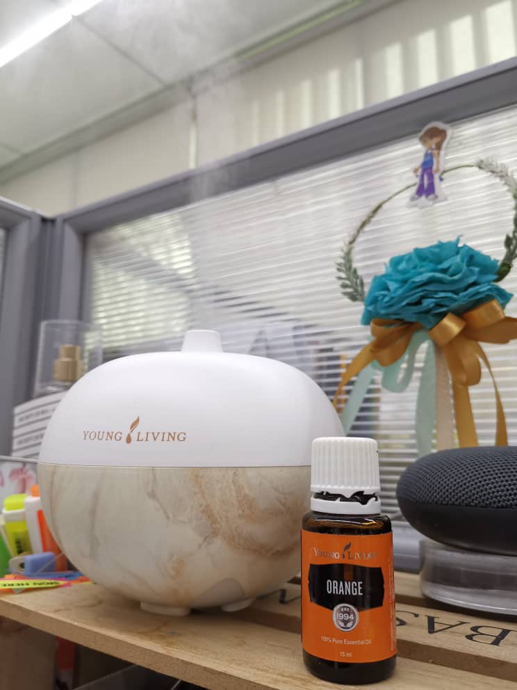 Diffuser Aroma Globe (Young Living), Furniture & Home Living, Home