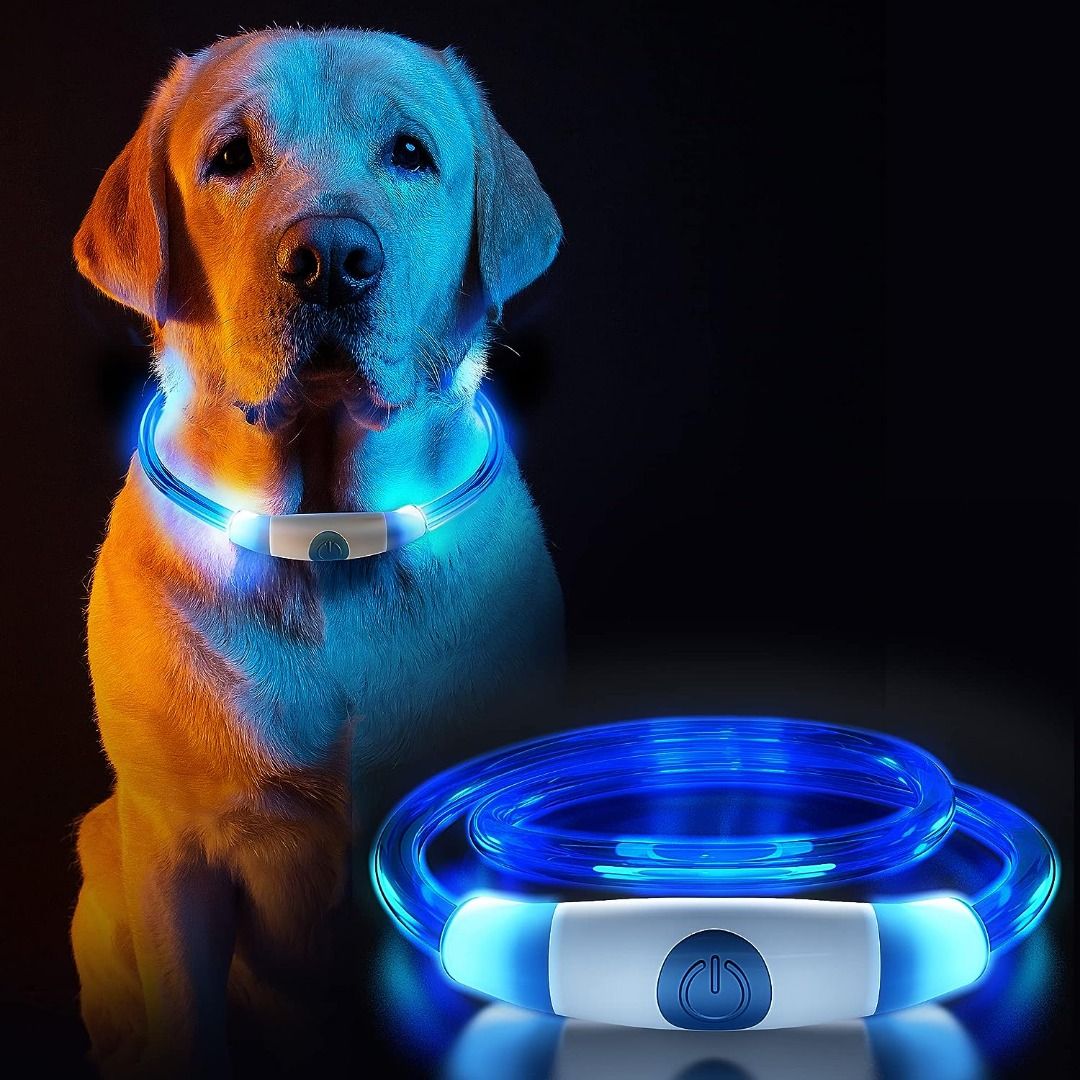 Dog accessories sale sale