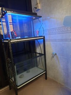 (Category: ) located in . Submitted by eugrome (Listing ID 1251610120, Image 1). Description: .