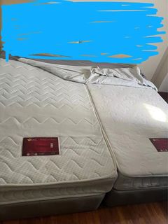 (Category: ) located in . Submitted by apex.gifting (Listing ID 1251504141, Image 1). Description: .