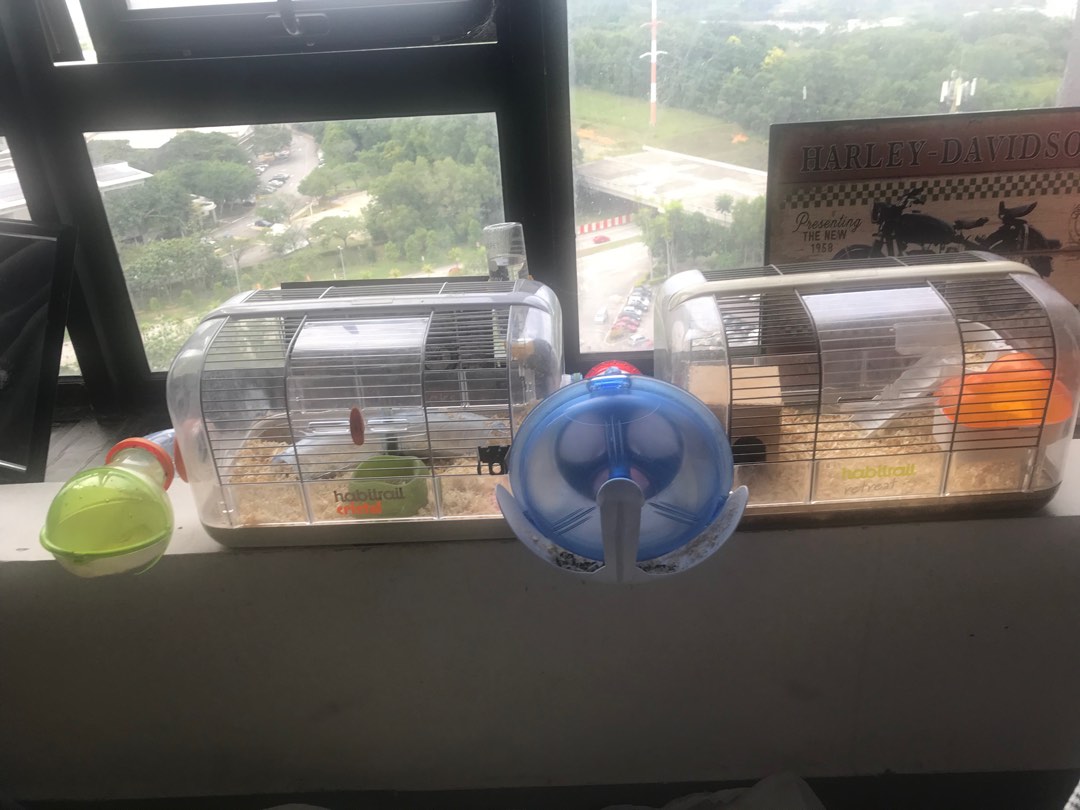 Gerbil habitrail cheap