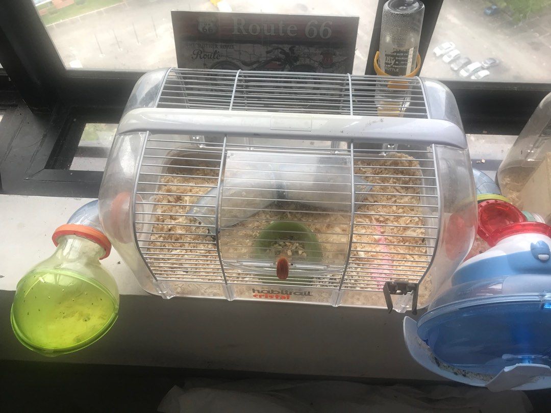 Gerbil habitrail discount