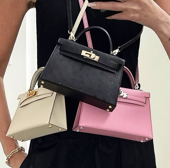 Hermes Mini Kelly Exotic Ostrich in Palladium Luxury Bags Wallets on Carousell