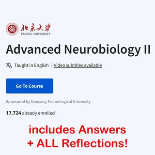 (Category: ) located in . Submitted by econprep (Listing ID 1251550005, Image 1). Description: .