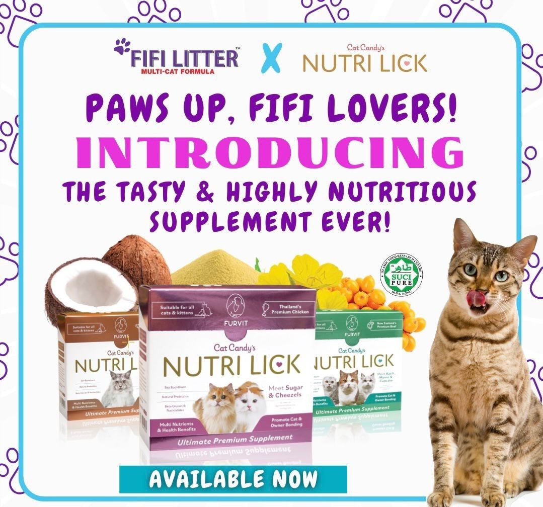 Nutri lick cat treat, Pet Supplies, Pet Food on Carousell