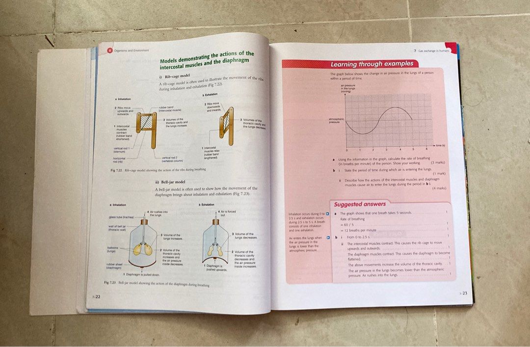 Oxford New Senior Secondary Mastering Biology 1A, 1B, 2, 3 & 4 ( Second ...
