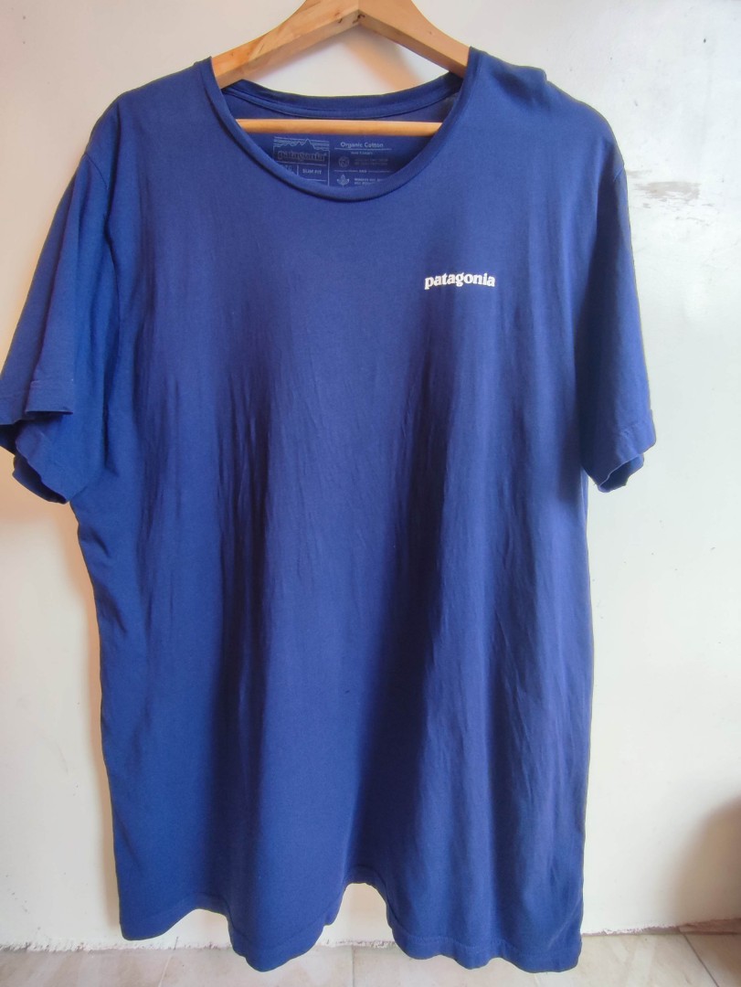Patagonia P6 and fyi g fish shirt aspack on Carousell