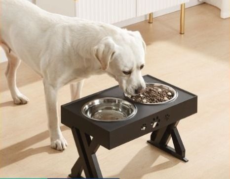 Elevated dog bowl height top