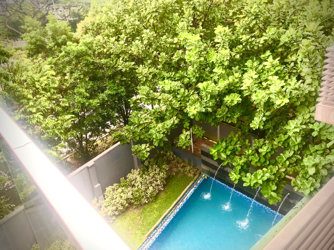 (Category: ) located in . Submitted by kathiech (Listing ID 1251547870, Image 1). Description: .