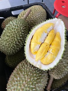 (Category: ) located in . Submitted by abcdurian (Listing ID 1251614167, Image 1). Description: .