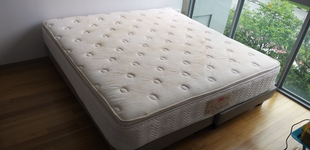 excelsior king-size mattresses