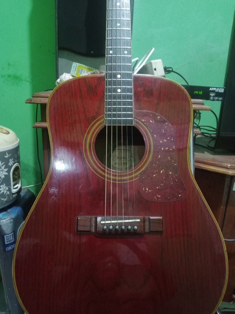 Washburn D11 TR, Musik & Media, Alat di Carousell