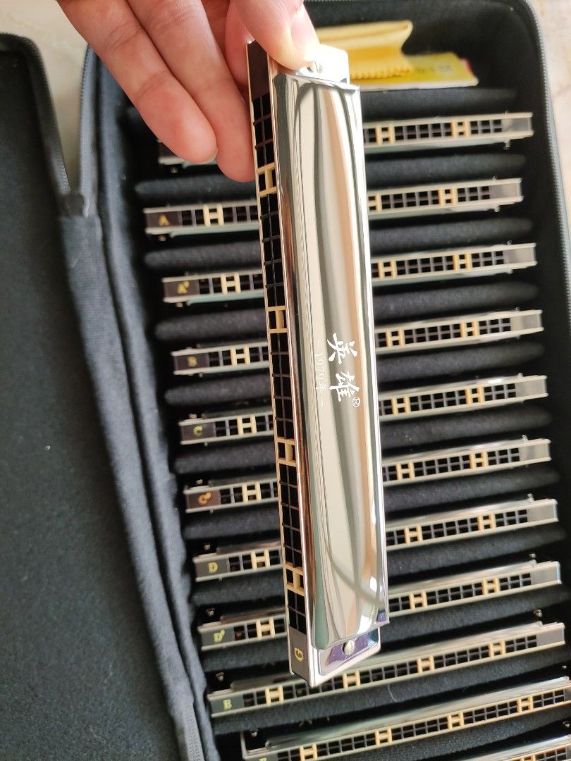 12 key Tremolo Harmonica Hobbies Toys Music Media