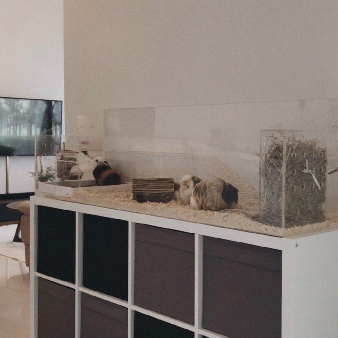 140cm outlet rabbit cage