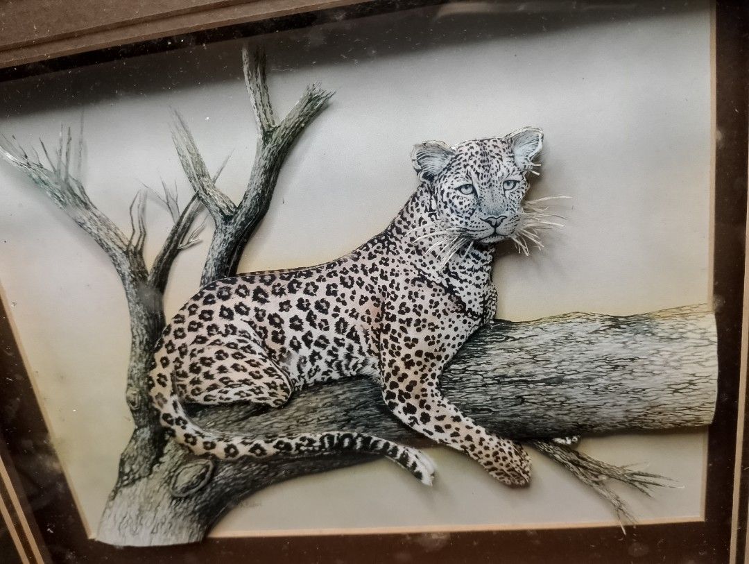 3D art Leopard in the tree Wall Deco in Deep Window Frame on Carousell